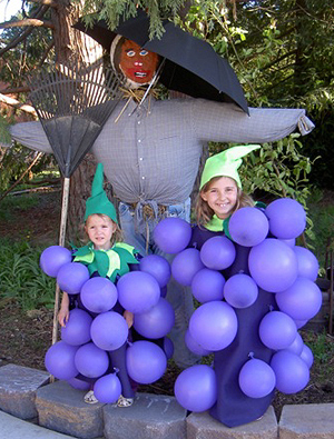 Grape Costume